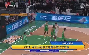 平博APP-辽宁男篮今天直播现场